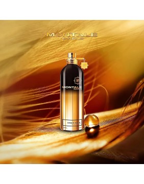 Montale Amber Musk EDP parfumuotas vanduo 100 ml