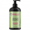 Mielle Rosemary Mint Strengthening Shampoo 355 ml Stiprinamasis plaukų šampūnas