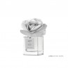 Namų kvapas MUHA Rose Fiori di Cotone 100ml