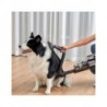 Jimmy | Pet Brush/Flexible Hose for PW11 and HW11 series