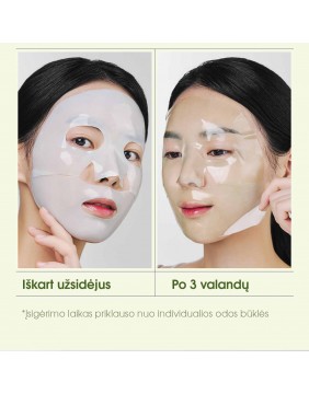 NACIFIC Green Tea Cica Collagen Gel Mask – kolageno gelinė veido kaukė su žaliosios arbatos ir azijinės centelės kompleksu, 35 g