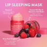 Laneige Berry lūpų kaukė 20g