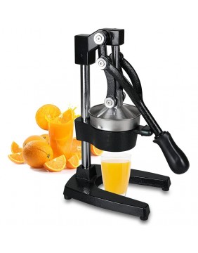 Zyle Profesionali citrus....
