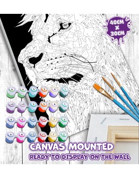 Splat Planet tapyba pagal skaičius, LIŪTAS 30x40 cm