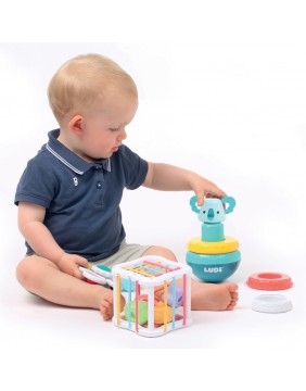 LUDI rūšiavimo žaislų rinkinys