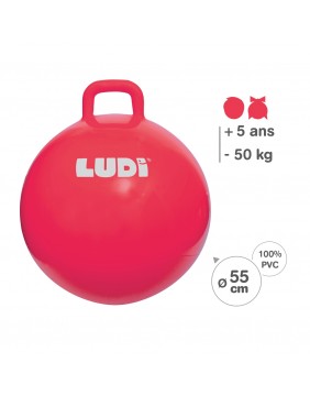 LUDI šokinėjimo kamuolys, raudonas 55 cm
