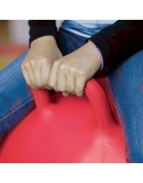 LUDI šokinėjimo kamuolys, raudonas 55 cm