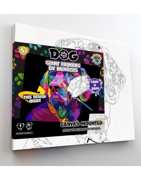 Splat Planet tapyba pagal skaičius, ŠUO 30x40 cm