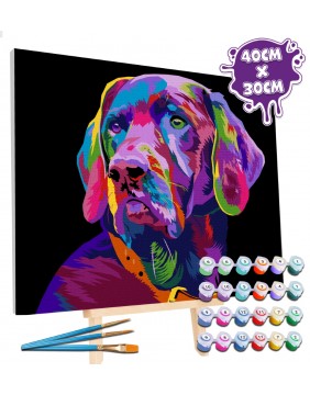 Splat Planet tapyba pagal skaičius, ŠUO 30x40 cm