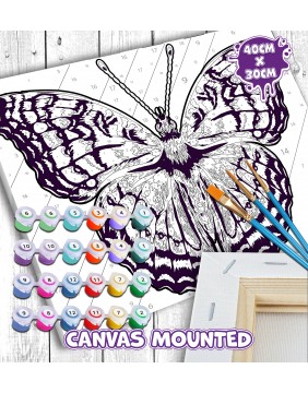 Splat Planet tapyba pagal skaičius, DRUGELIS 30x40 cm