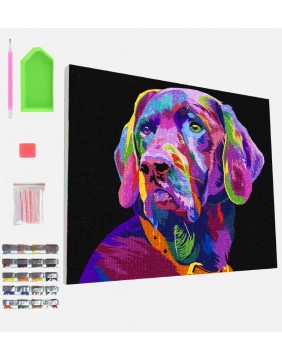 Splat Planet deimantinė dėlionė ŠUO 30x40 cm