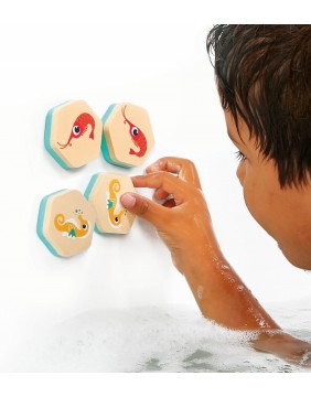 LUDI maudymosi žaislų rinkinys, Atminties kortelės