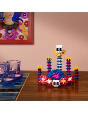 Plus Plus konstruktorius, Įkvėpimas - Frida Kahlo