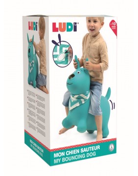 LUDI šokliukas, šuniukas, mėtinis