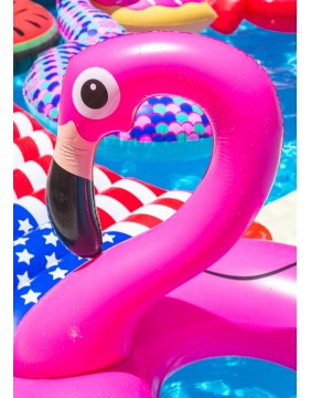 Pripučiamas ratas, Flamingas MAX