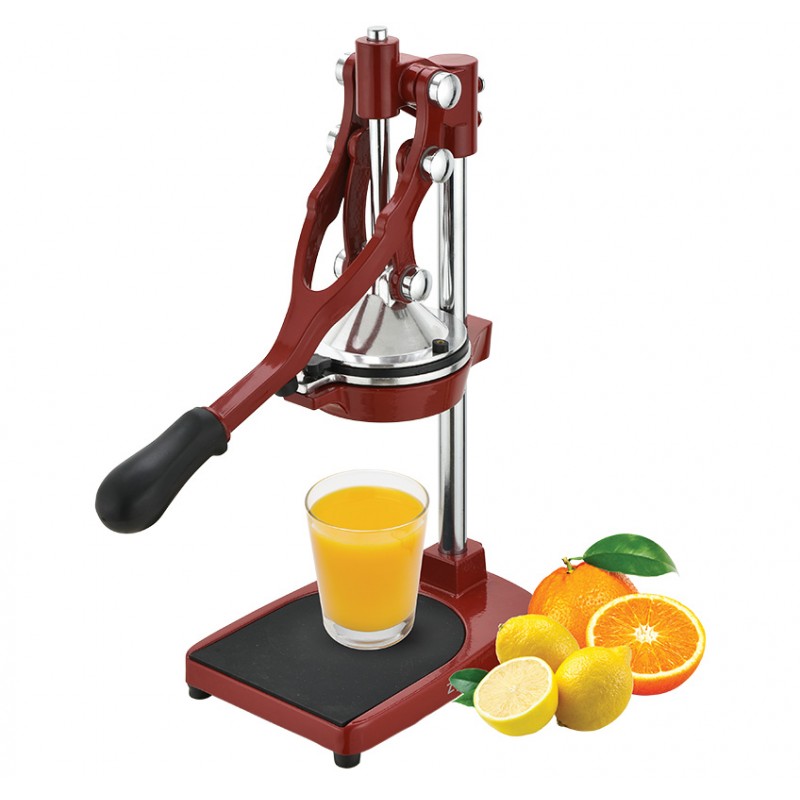 Profesionali citrus. vaisių sulčiaspaudė, ZY503RCJ