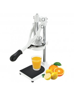 Profesionali citrus. vaisių...