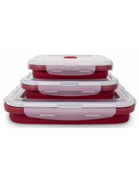 Sulankstomų silikonininių maisto dėžučių rinkinys, ZY603SBSET