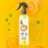 Elizavecca CER-100 Collagen Coating Hair A+ Muscle Spray - paliekamasis kondicionierius